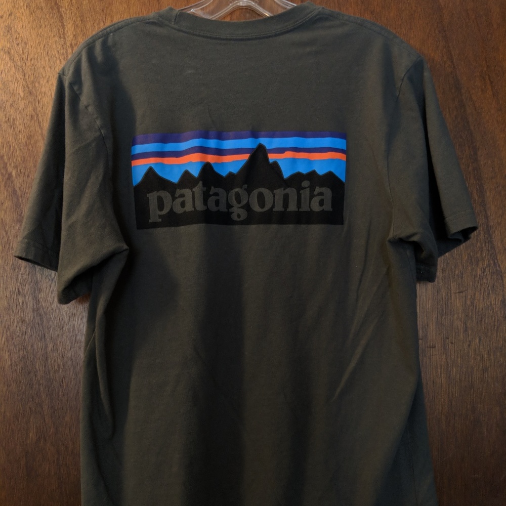 Patagonia Mens T-shirt